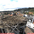 17_10-nest.jpg