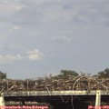17_15-mast.jpg
