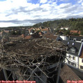 17_15-nest.jpg
