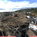 17_25-nest.jpg