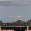 17_35-mast.jpg
