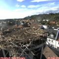 17_40-nest.jpg
