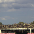 17_45-mast.jpg
