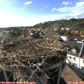 17_45-nest.jpg