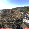 17_55-nest.jpg