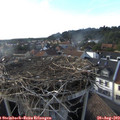 18_05-nest.jpg