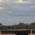 18_10-mast.jpg