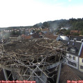 18_10-nest.jpg