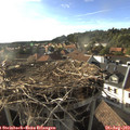 18_15-nest.jpg