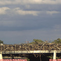 18_20-mast.jpg