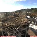 18_20-nest.jpg