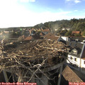 18_25-nest.jpg