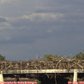 18_30-mast.jpg