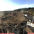 18_30-nest.jpg
