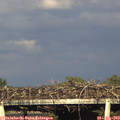 18_35-mast.jpg