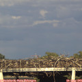18_40-mast.jpg