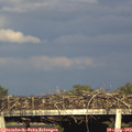 18_45-mast.jpg