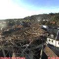 18_45-nest.jpg