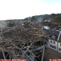 18_55-nest.jpg