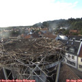 19_00-nest.jpg