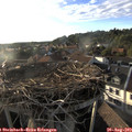 19_05-nest.jpg