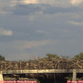 19_10-mast.jpg