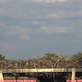 19_15-mast.jpg