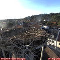 19_15-nest.jpg