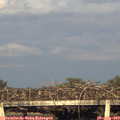 19_20-mast.jpg