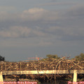 19_40-mast.jpg