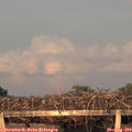 20_00-mast.jpg