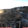 20_05-nest.jpg