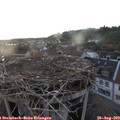 20_20-nest.jpg