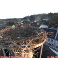 06_30-nest.jpg