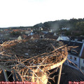 06_35-nest.jpg