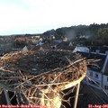 06_40-nest.jpg