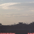 06_45-mast.jpg