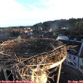 06_45-nest.jpg