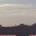 06_50-mast.jpg