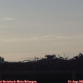 07_10-mast.jpg
