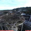 07_10-nest.jpg