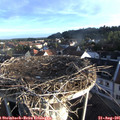 07_15-nest.jpg
