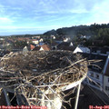 07_20-nest.jpg