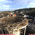 07_25-nest.jpg