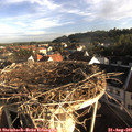07_30-nest.jpg