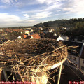 07_35-nest.jpg