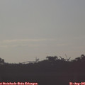 07_40-mast.jpg