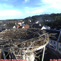 07_40-nest.jpg