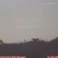 07_45-mast.jpg
