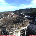 07_45-nest.jpg